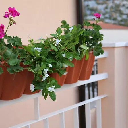 Apartman Maris Daire